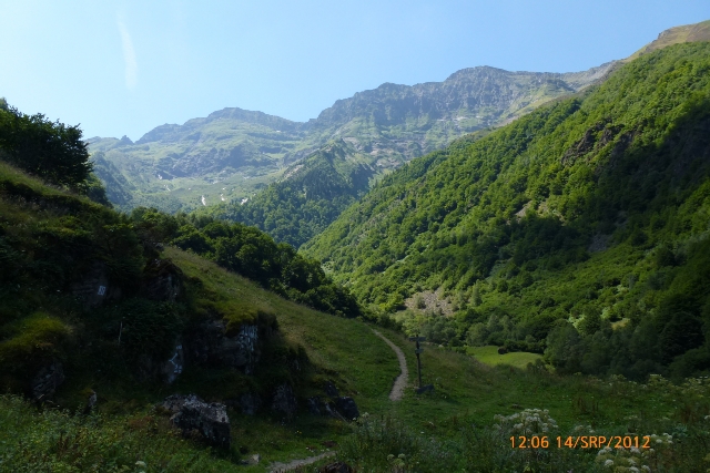 94.jpg