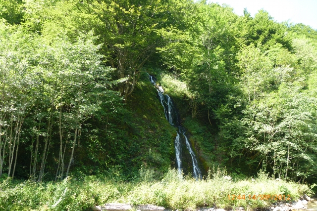 95.jpg